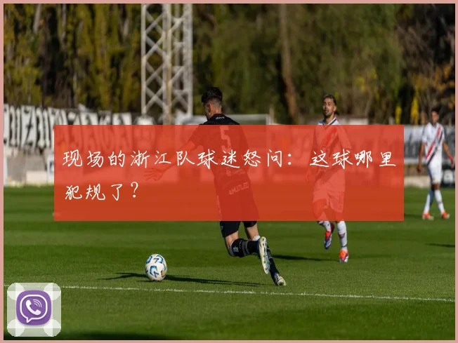 现场的浙江队球迷怒问：这球哪里犯规了？